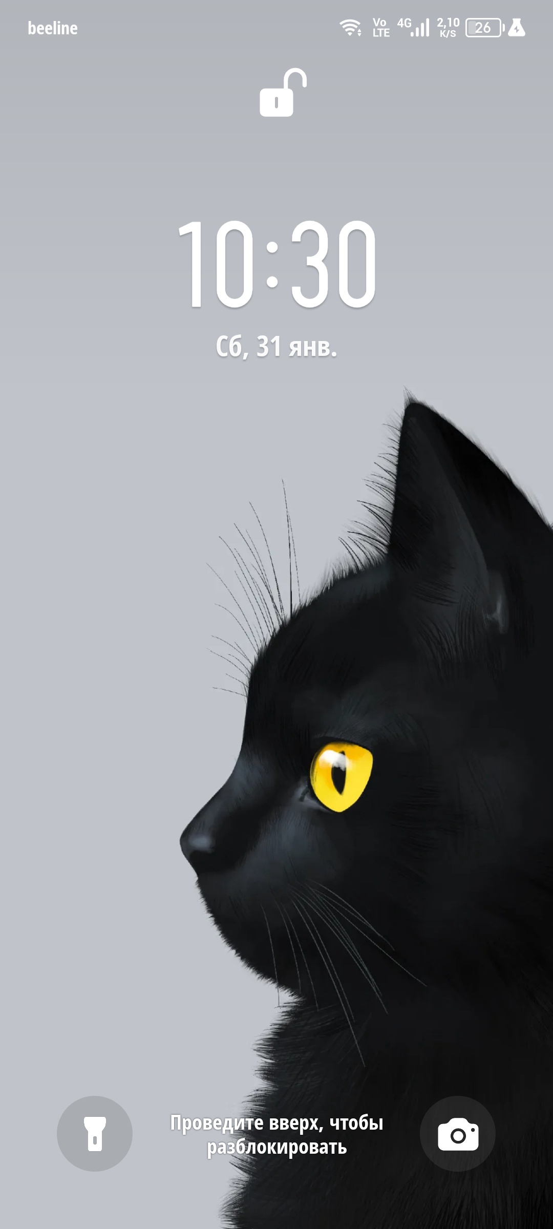 Аватар пользователя