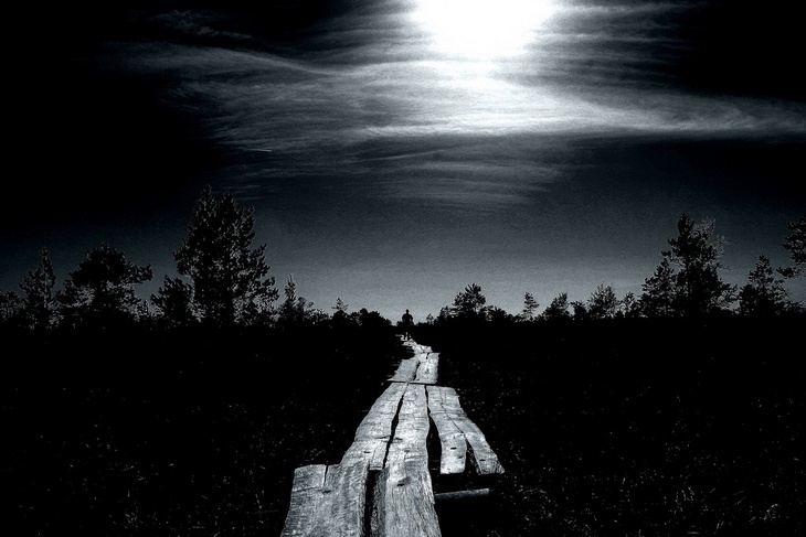 Аватар пользователя