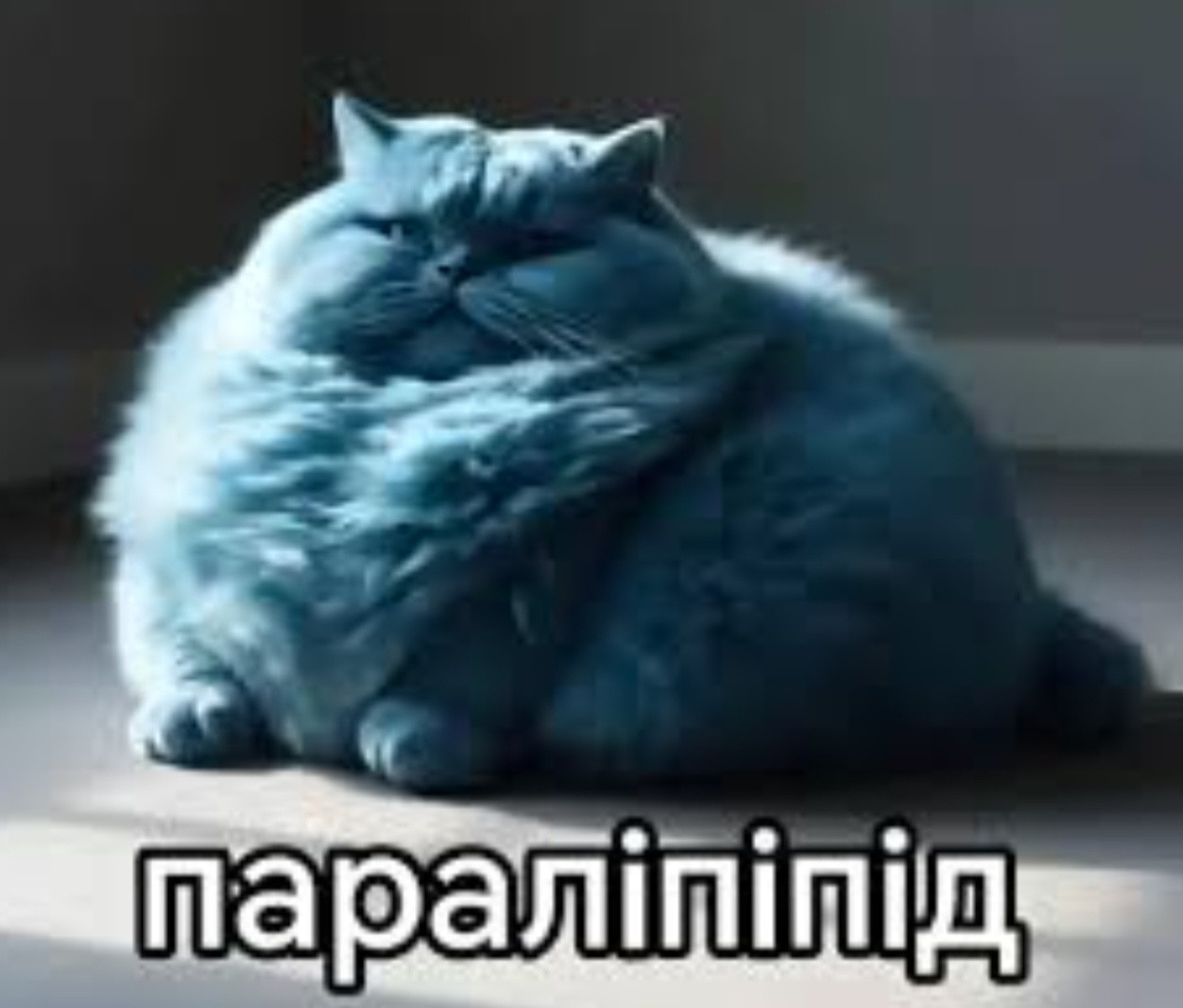 Аватар пользователя