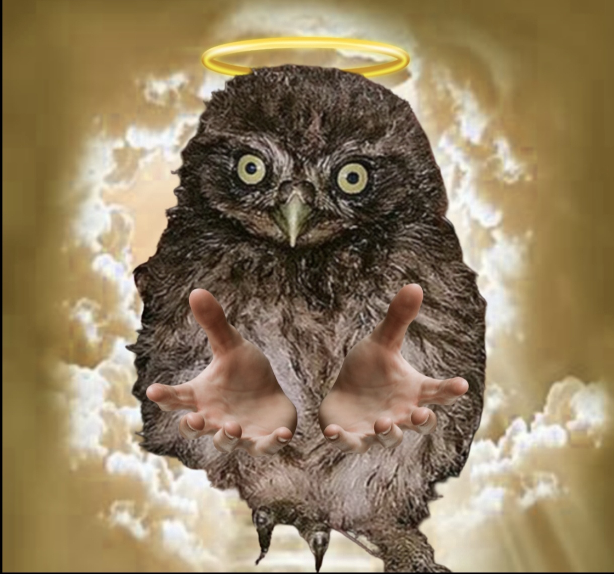 Аватар пользователя