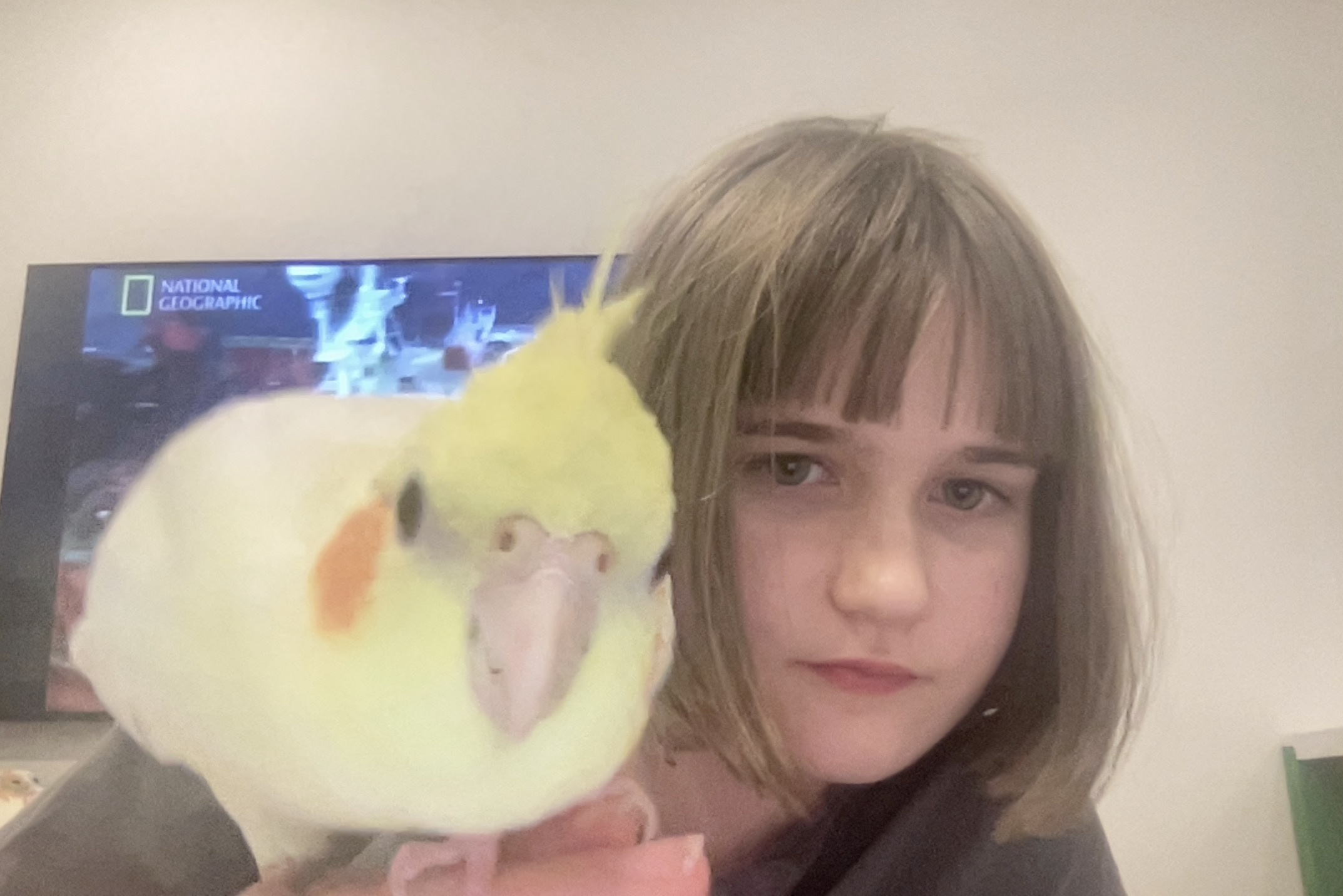 Аватар пользователя