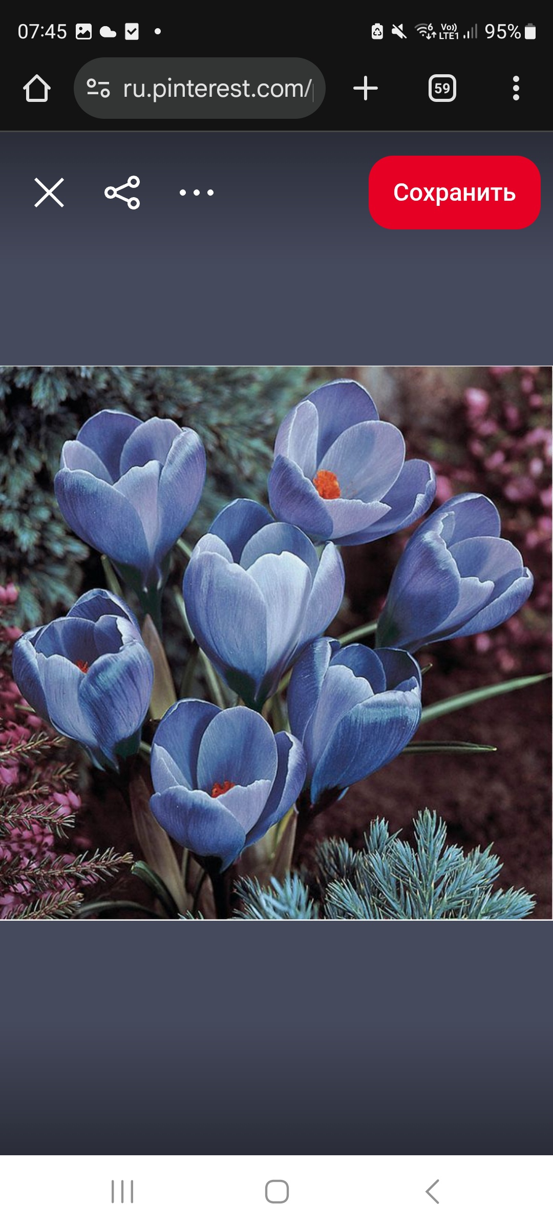 Аватар пользователя