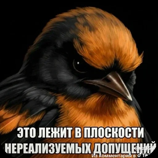 Аватар пользователя