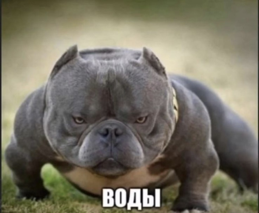 Аватар пользователя