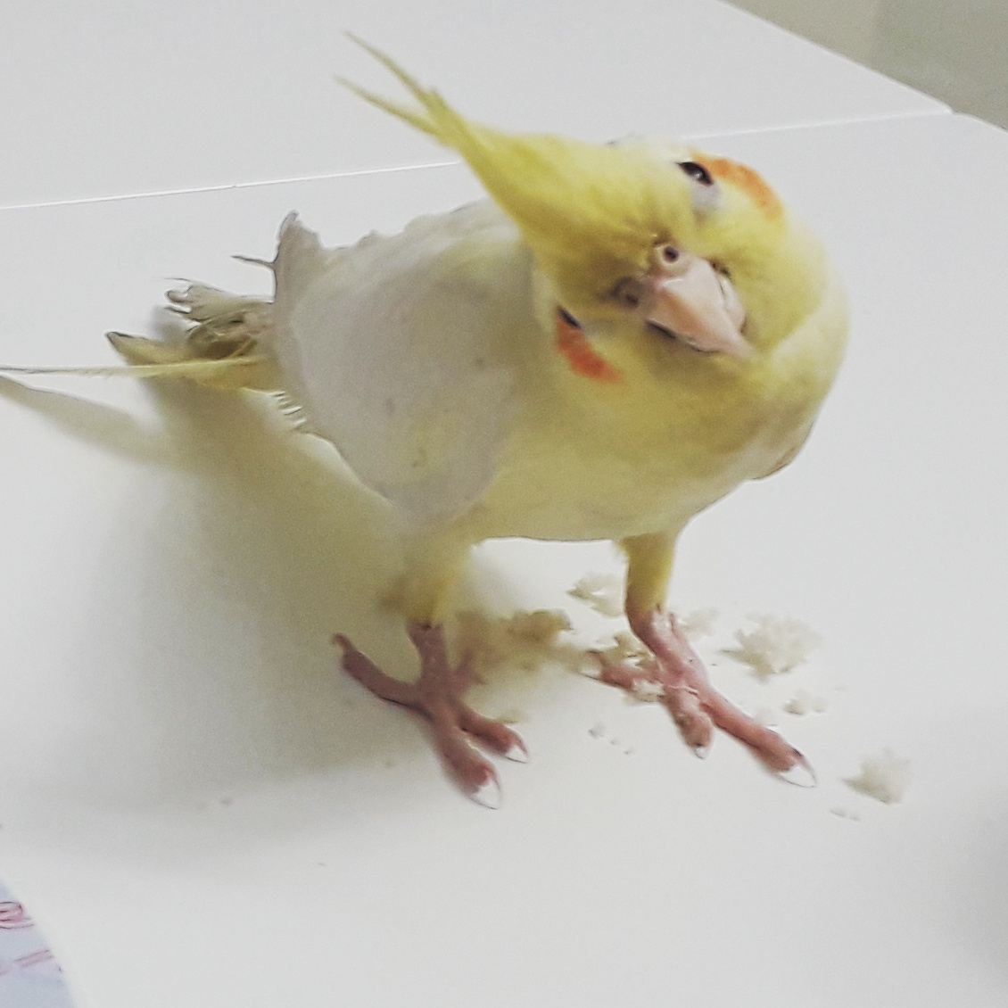 Аватар пользователя