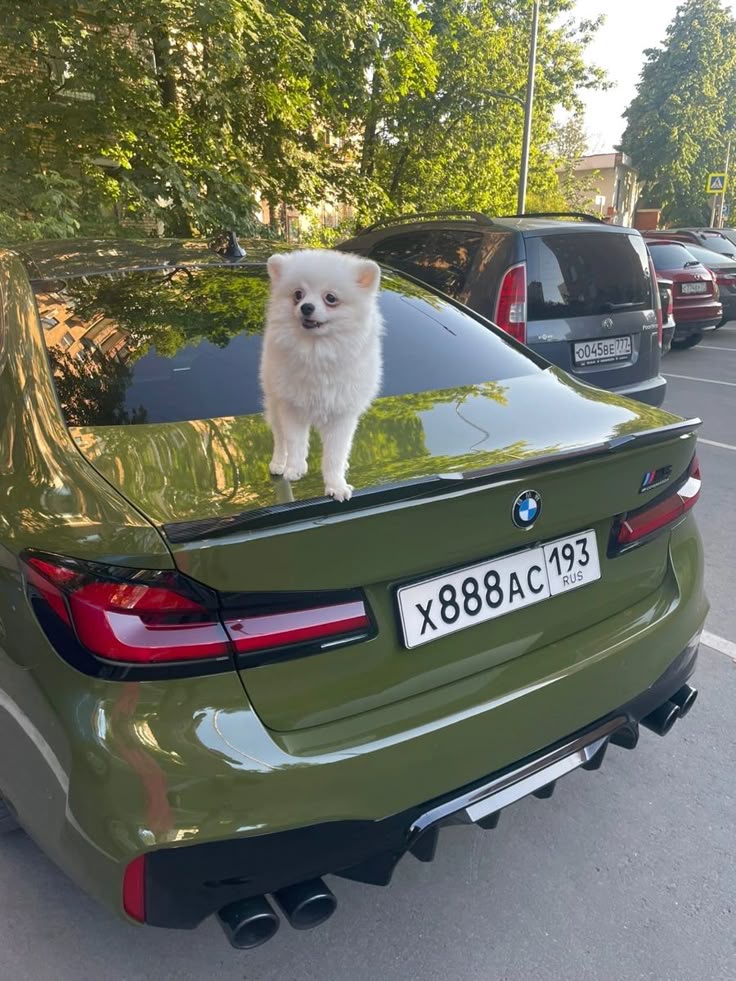 Аватар пользователя