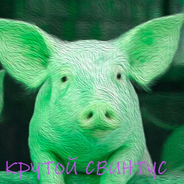 Аватар пользователя