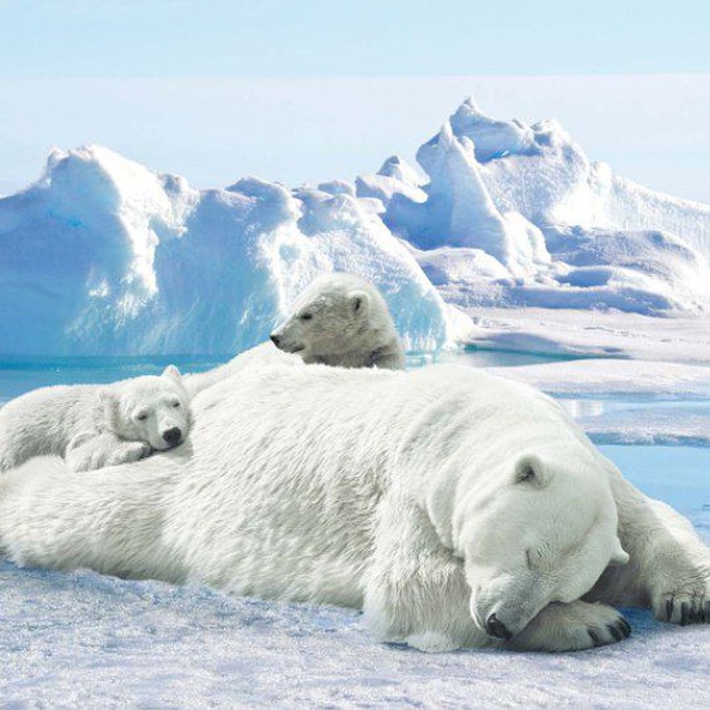 Аватар пользователя