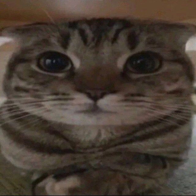 Аватар пользователя