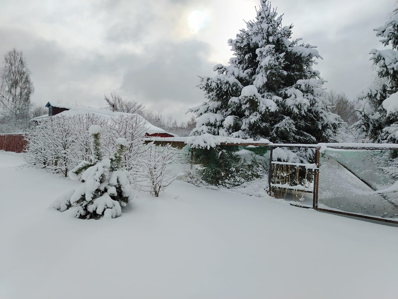 Аватар пользователя