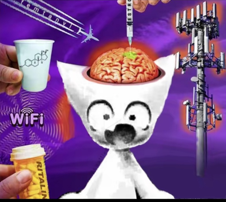 Аватар пользователя