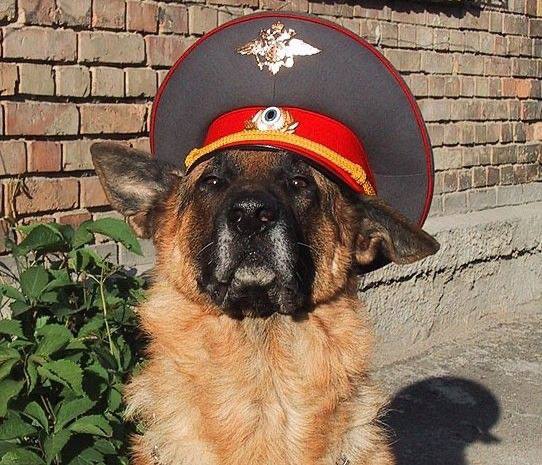 Аватар пользователя