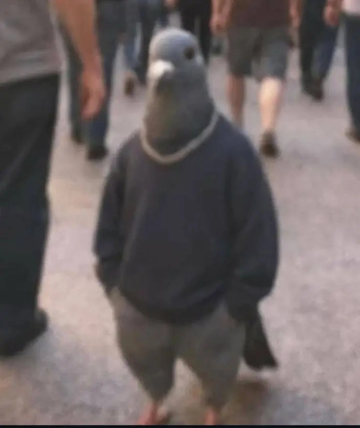 Аватар пользователя