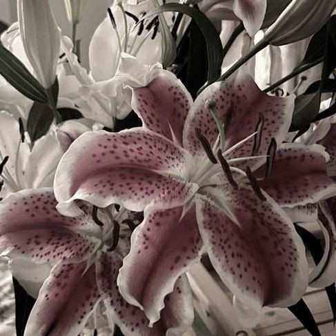 Аватар пользователя