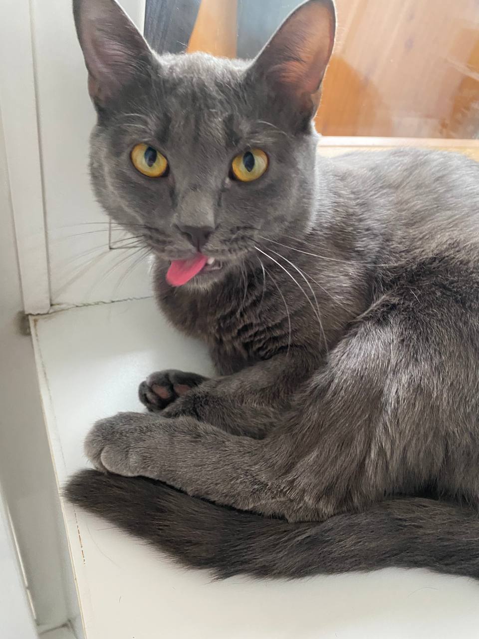 Аватар пользователя