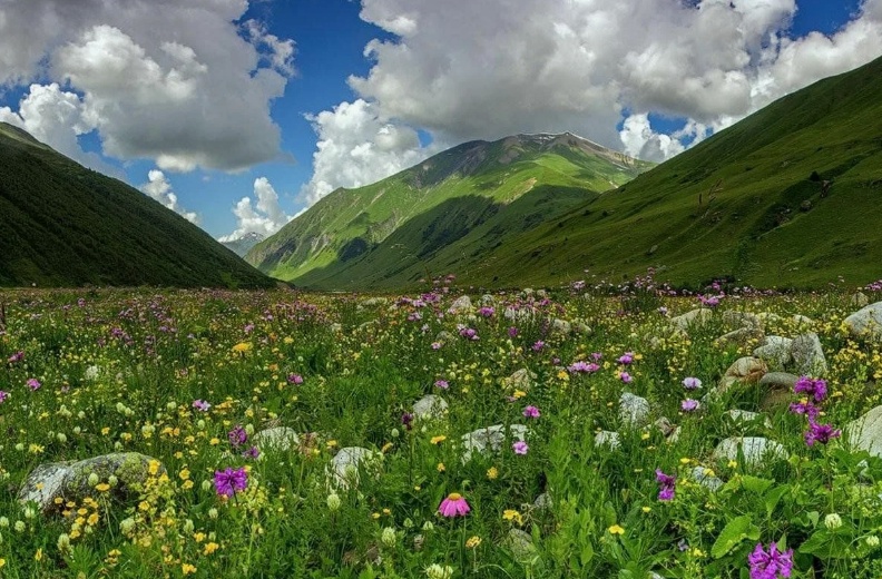 Аватар пользователя
