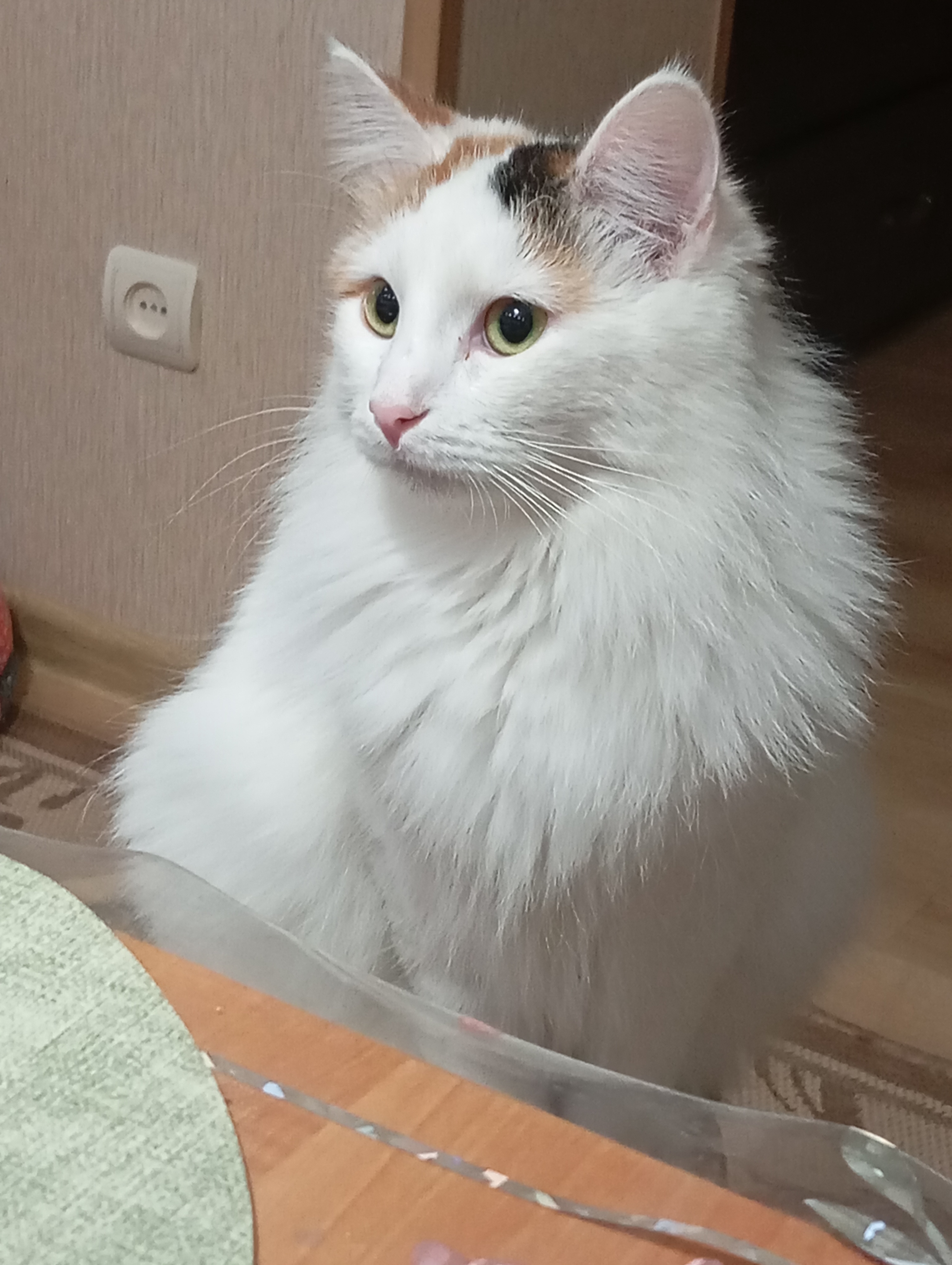 Аватар пользователя