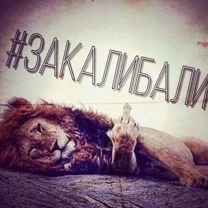 Аватар пользователя