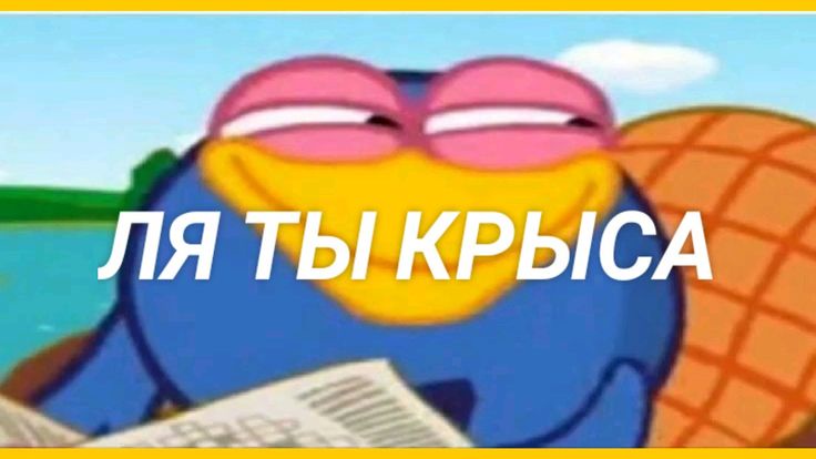 Аватар пользователя