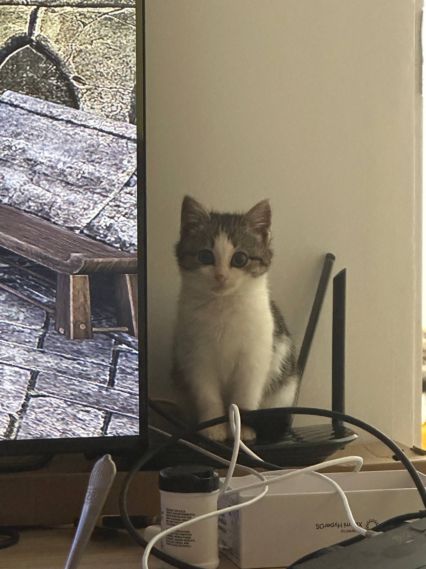 Аватар пользователя