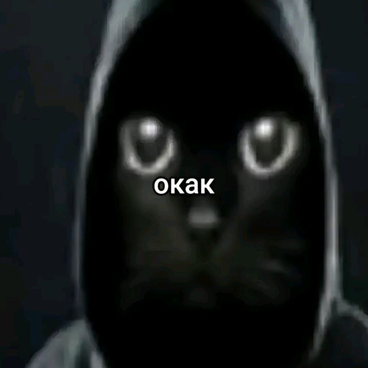 Аватар пользователя