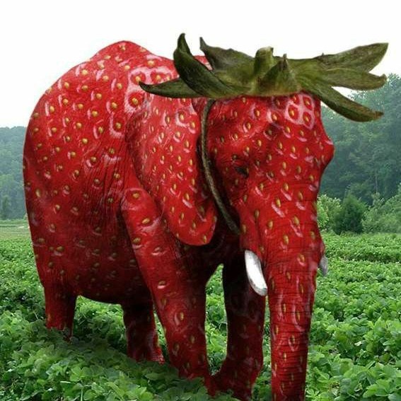 Аватар пользователя