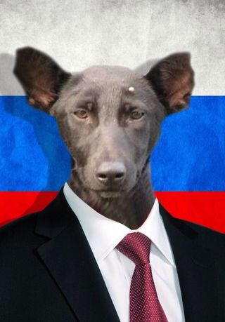 Аватар пользователя