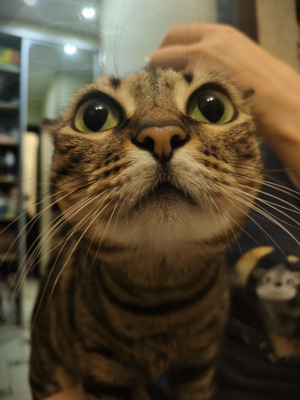 Аватар пользователя