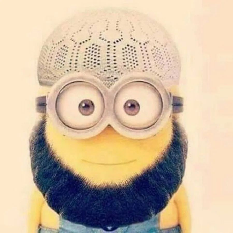 Аватар пользователя