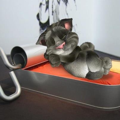 Аватар пользователя