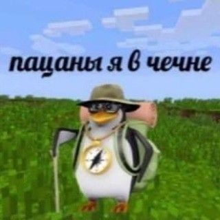 Аватар пользователя