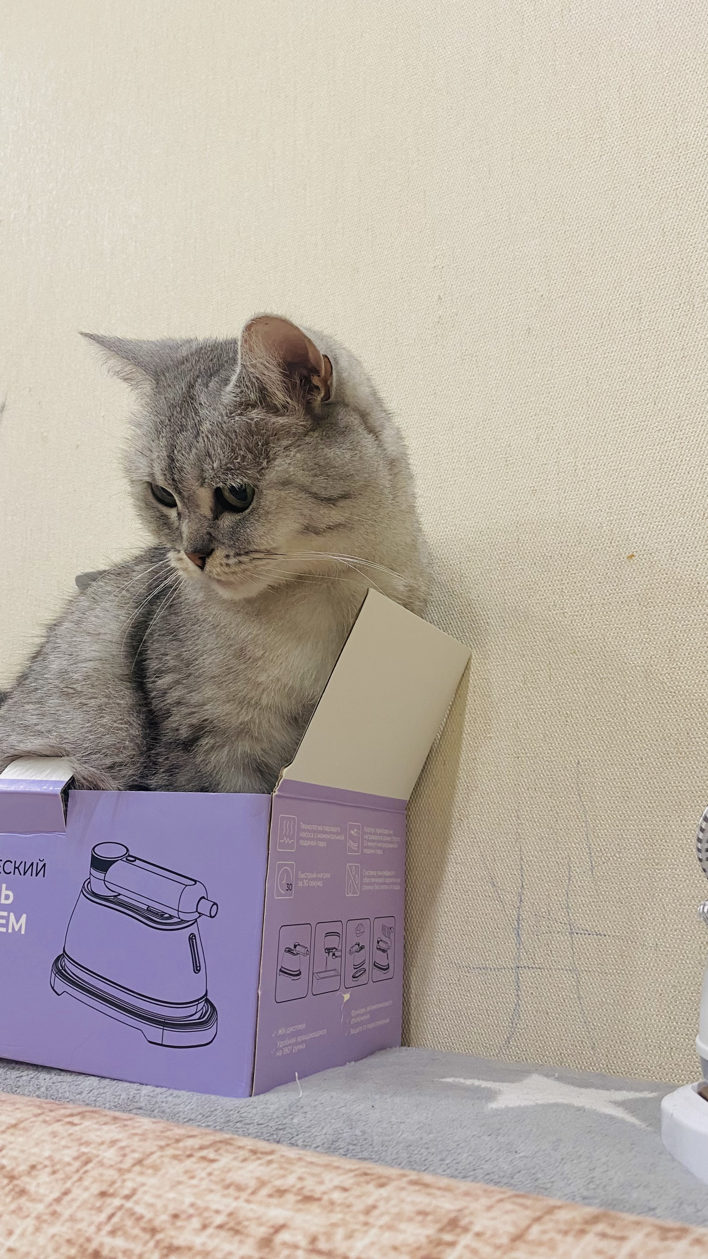 Аватар пользователя