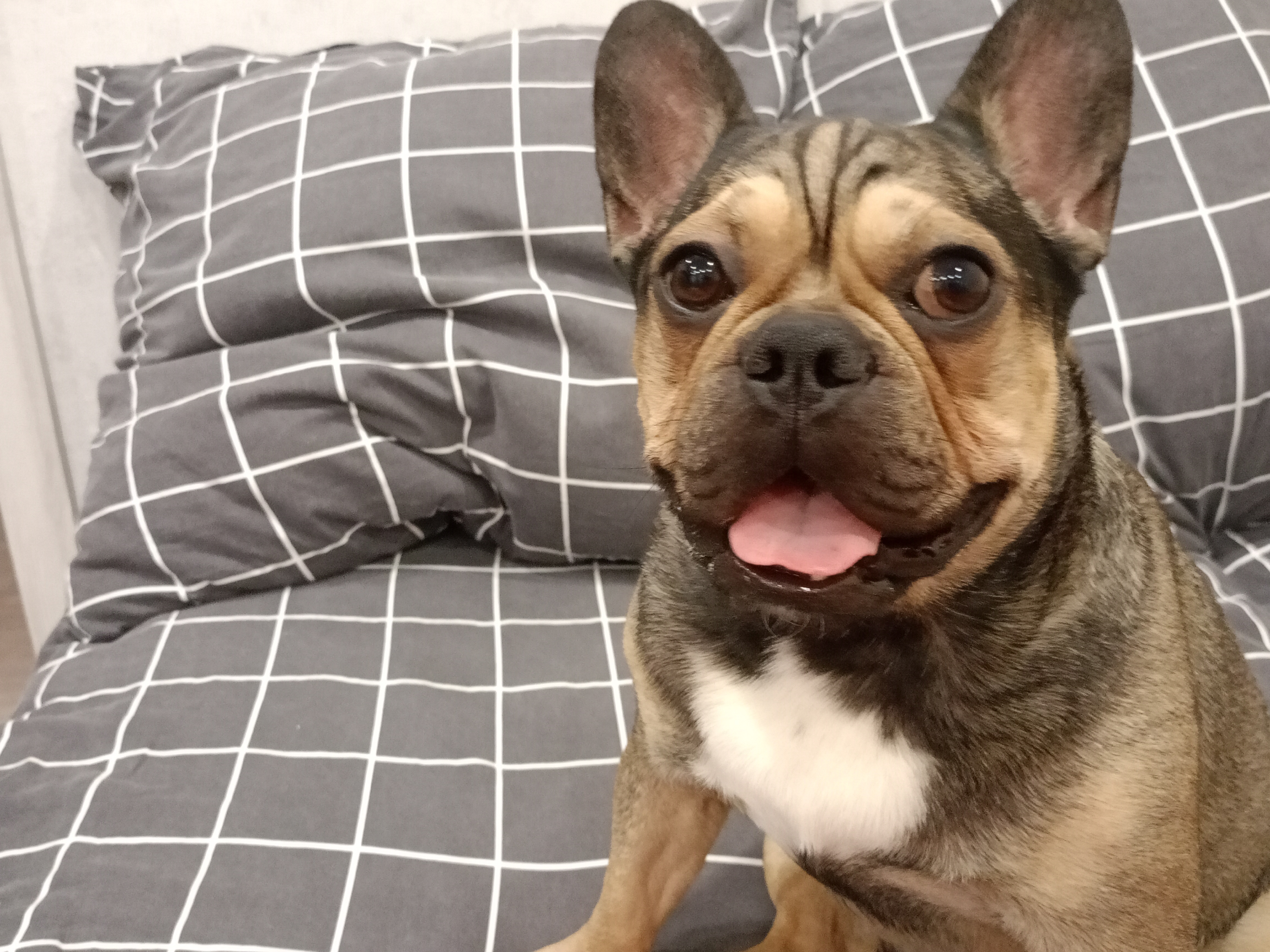 Аватар пользователя