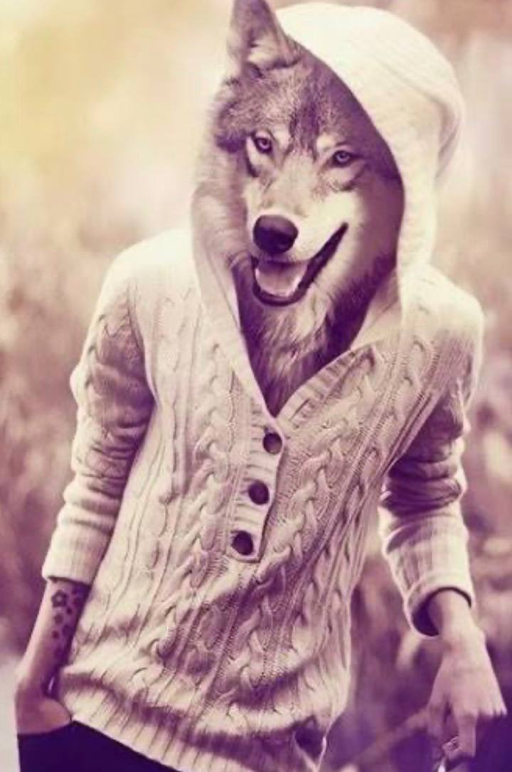 Аватар пользователя