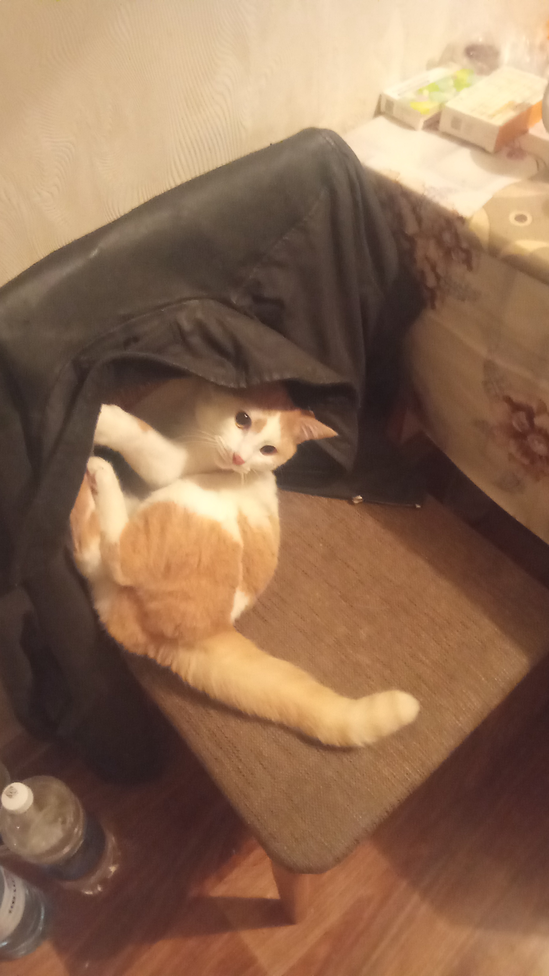 Аватар пользователя