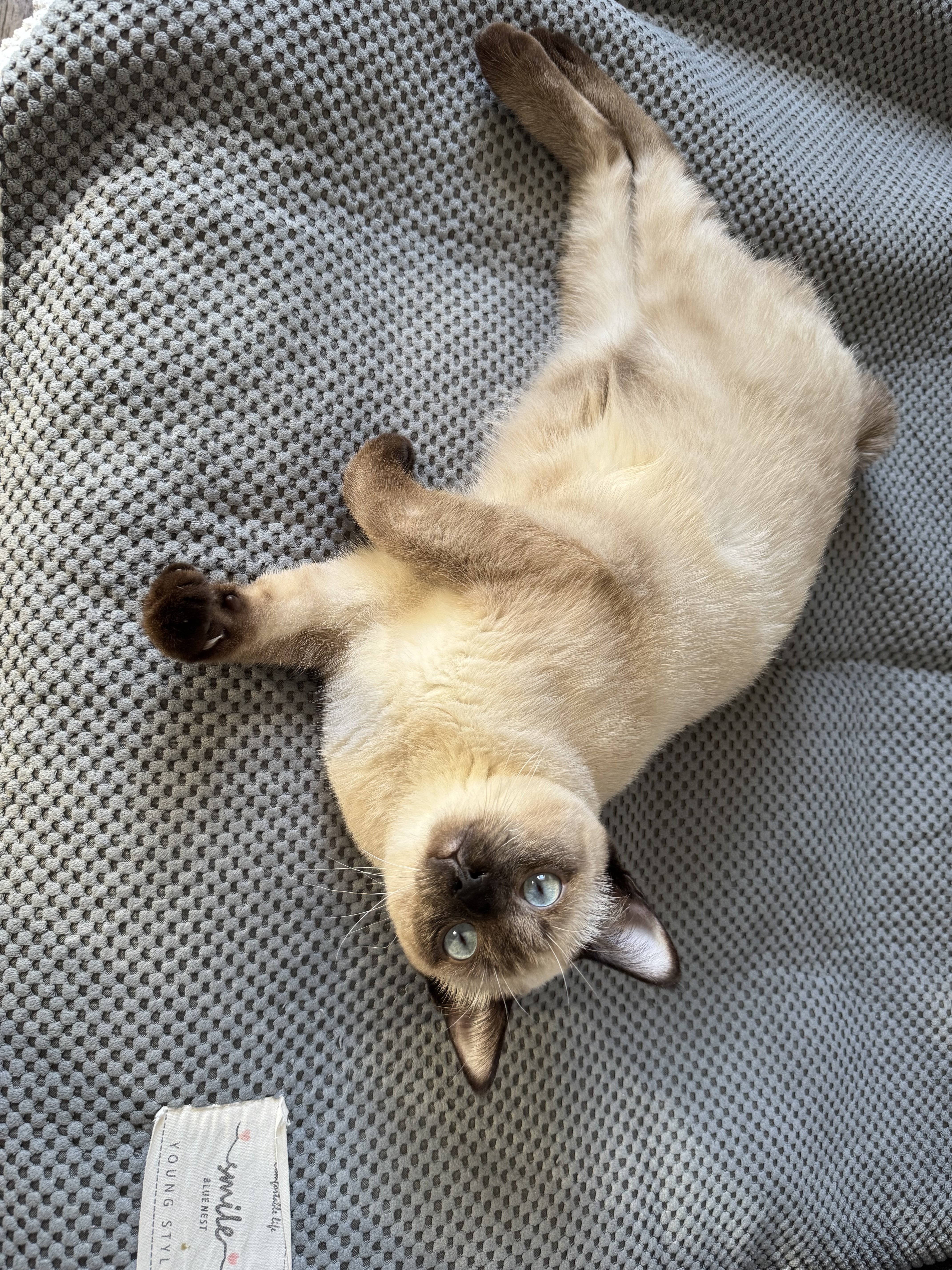 Аватар пользователя