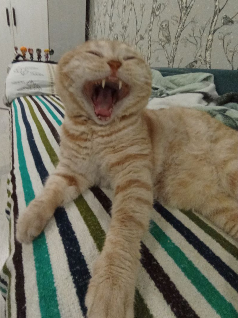 Аватар пользователя