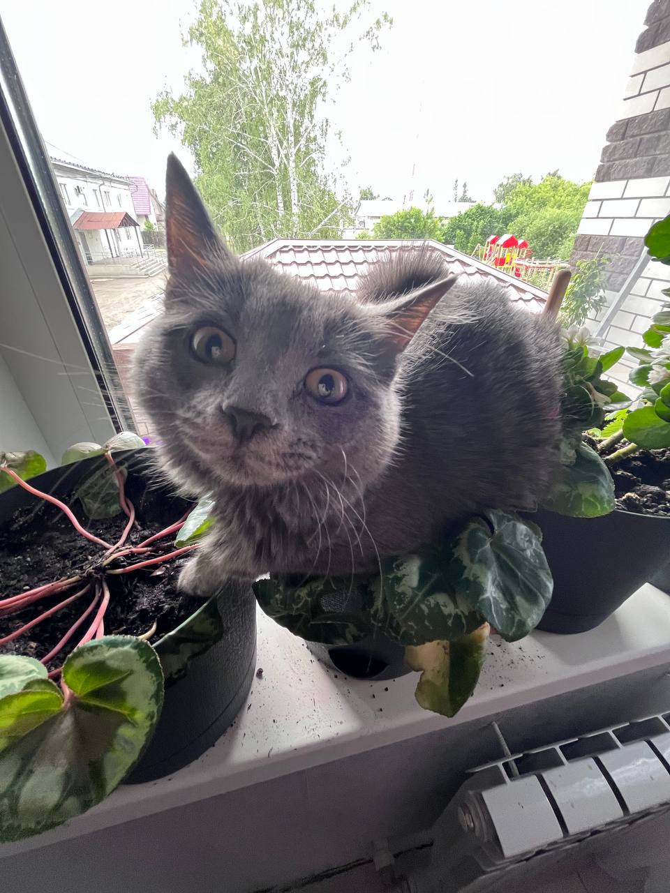 Аватар пользователя