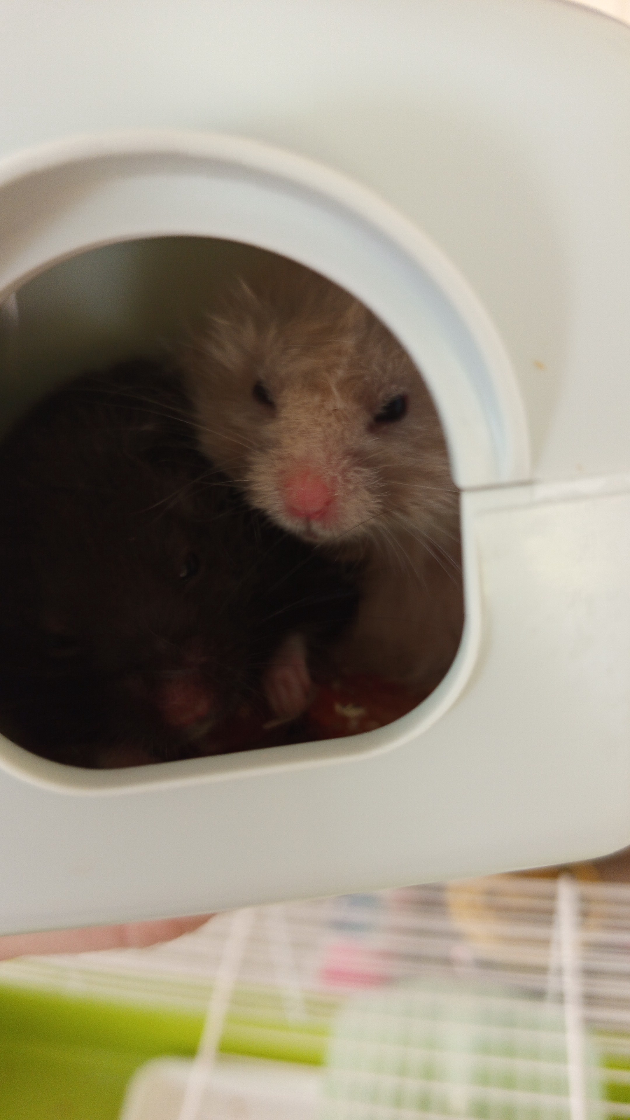 Аватар пользователя