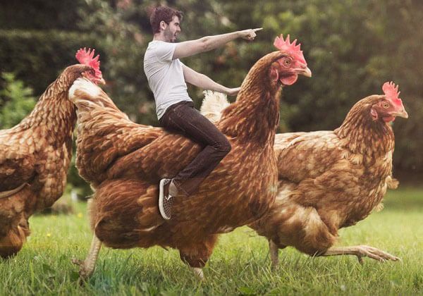 Аватар пользователя