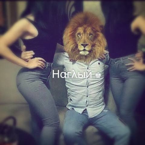 Аватар пользователя