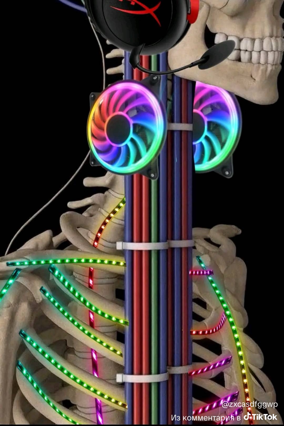 Аватар пользователя
