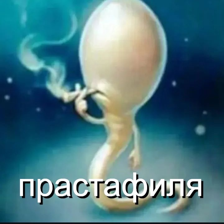 Аватар пользователя