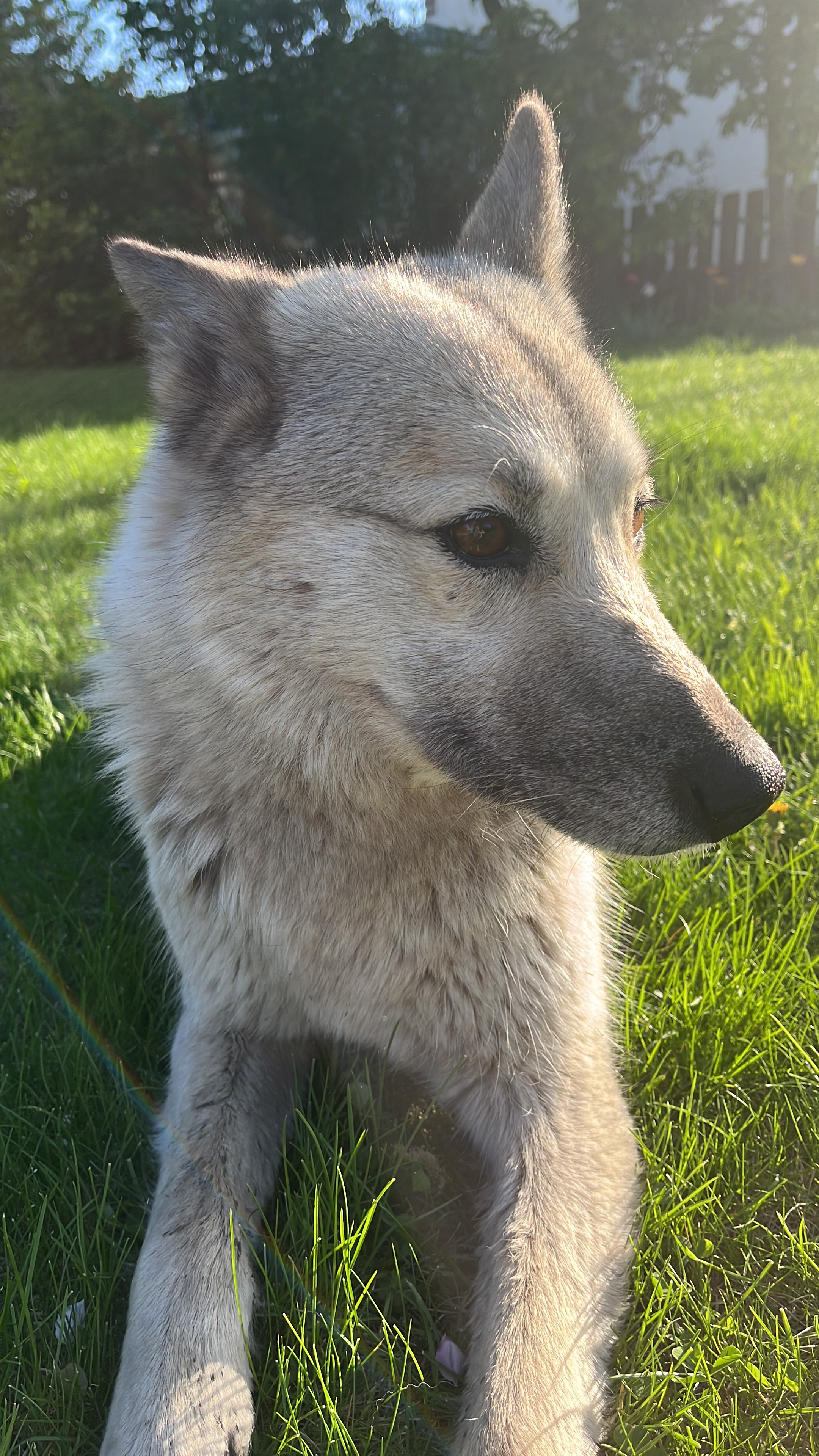 Аватар пользователя