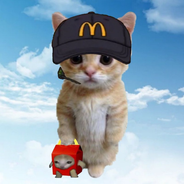 Аватар пользователя