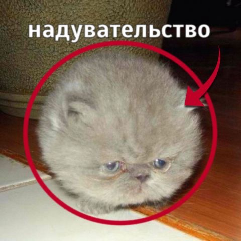 Аватар пользователя