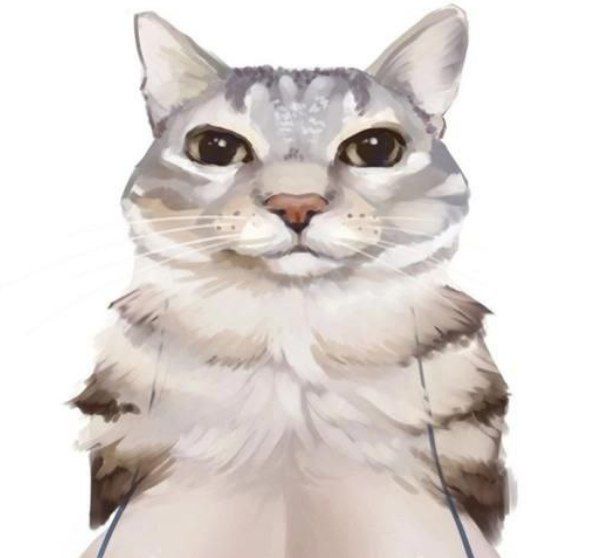 Аватар пользователя