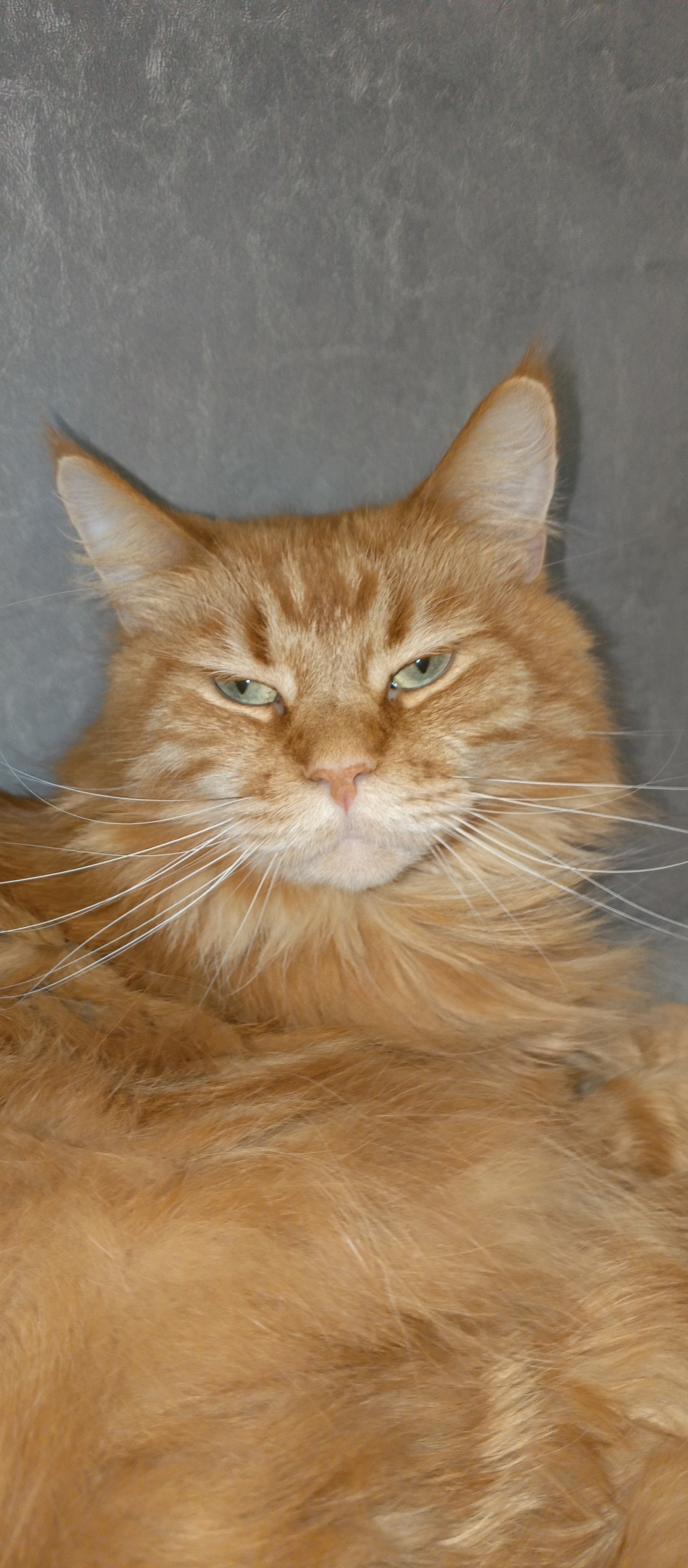 Аватар пользователя