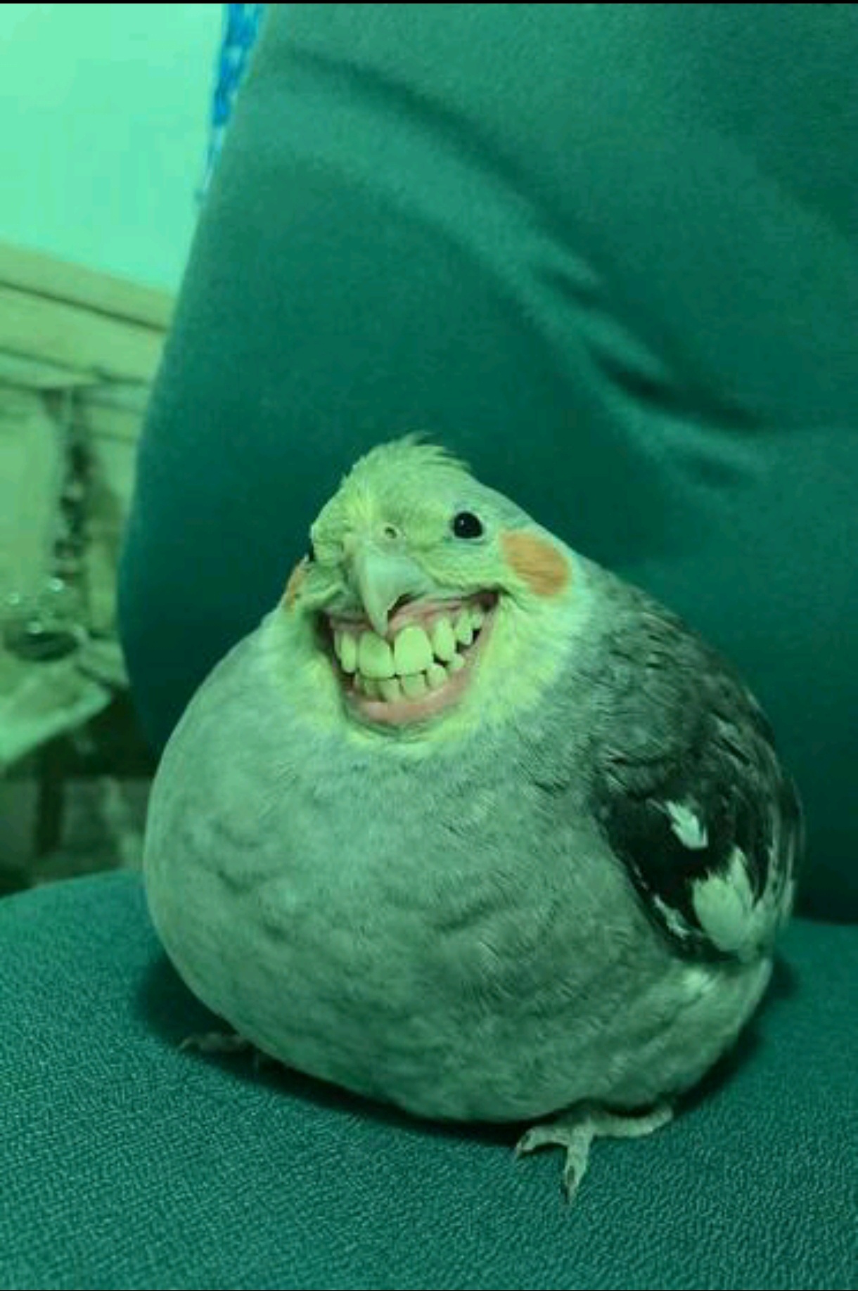 Аватар пользователя