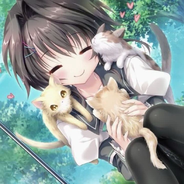 Аватар пользователя